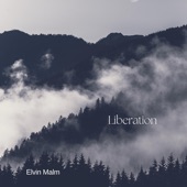 Elvin Malm - Liberation