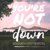 You're Not Down - Single album lyrics, reviews, download