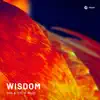 Stream & download Wisdom - Single