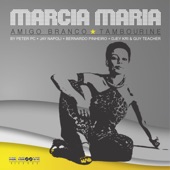 Amigo Branco (Revisited Remix) artwork