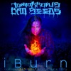 iBurn (feat. Dan Kelly of Fortunate Youth) - Single
