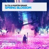 Spring Blossom - Single