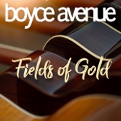 Boyce Avenue - Fields of Gold