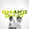 Shake Dhat - Single