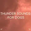 !!!" Thunder Sounds for Dogs "!!! album lyrics, reviews, download