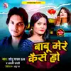 Babu Mere Kaese Ho - Single album lyrics, reviews, download