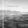 Anfractuous View - Single