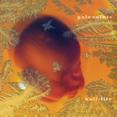 Pale Saints - Half-Life, Remembered