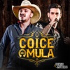 Coice De Mula (Ao Vivo)