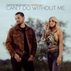 Chayce Beckham & Lindsay Ell - Can't Do Without Me  artwork