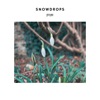 Snowdrops - Single