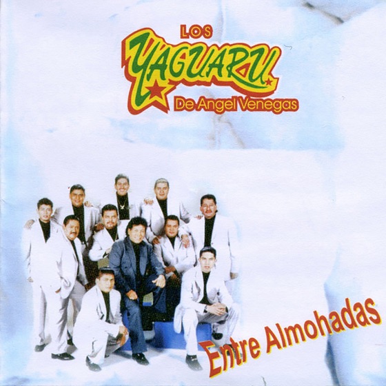Cover artwork for Amor Sin Primavera