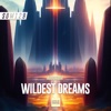 Wildest Dreams - Single