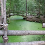 Tenniscoats - The Bottom of the Air (feat. Tape)