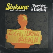 Sinkane - Everything is Everything