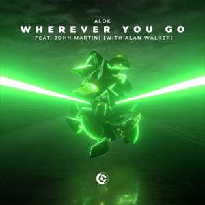 Alok - Wherever You Go (feat. John Martin) - 排舞 音乐