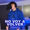 No Voy A Volver - Single