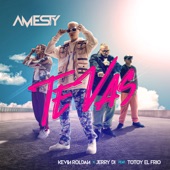 Te Vas (feat. Totoy El Frio) artwork