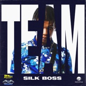 Team (feat. Silverbirds Records) artwork