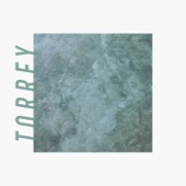 Torrey - Pop Song
