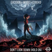Don't Look Down (Hold on) artwork