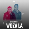 Woza La (Redemial Mix) - Single