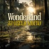 Wonderland - Single