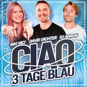 Ciao 3 Tage Blau artwork