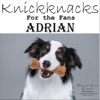Knickknacks: For the Fans - Single