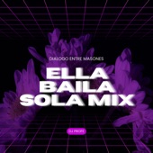 DJ Profe - Ella Baila Sola Mix