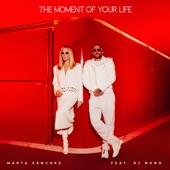 The Moment of Your Life (feat. DJ Nano) artwork