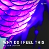 Why Do I Feel This - Single