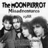 Misadventures (1988 Restored & Remastered Edition)