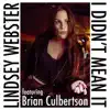 Stream & download I Didn't Mean It (feat. Brian Culbertson) - Single