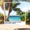 Gerrit Faber - Falling Away