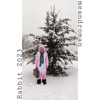 Rabbit 2023 - Single