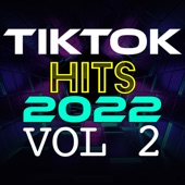 TikTok Hits 2022, Vol. 2 artwork