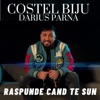 Raspunde Cand Te Sun - Single