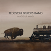Do I Look Worried - Tedeschi Trucks Band