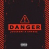 Danger (feat. Shreez) - Single