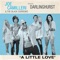 A Little Love (feat. Darlinghurst) artwork