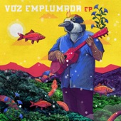 Voz Emplumada del Monte artwork