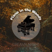 Dreamy Night, Calming Songs for Sleeping artwork