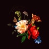 Ingenue - Single