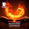 Love Is on Fire [Papa Tin Remix] - Single