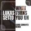 Lukas Setto - What Turns You On (Dario Caminita Remix)