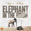 Elephant in the Room