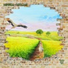 Domingo + - Thin Walls