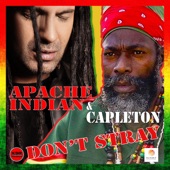 Apache Indian and Capelton - Don't Stray Yard Mix