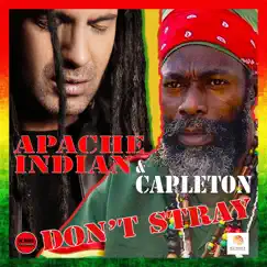 Don't Stray - EP by Apache Indian & Capleton album reviews, ratings, credits